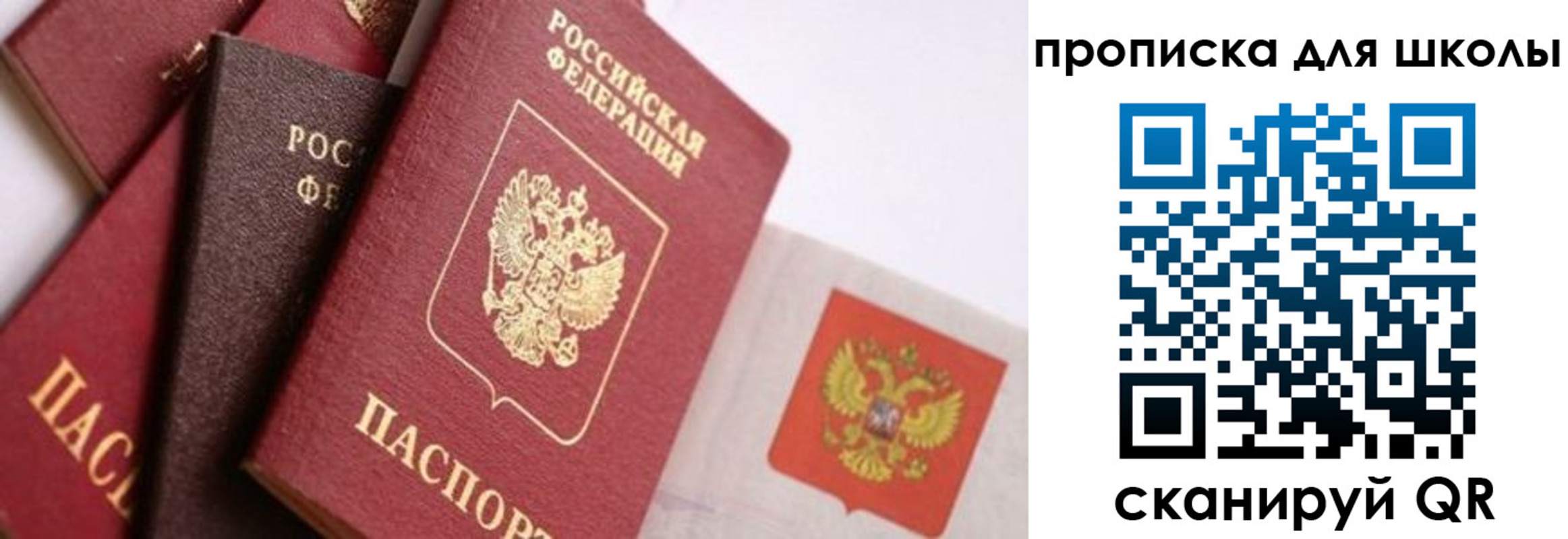 прописка поиск в Краснозаводске